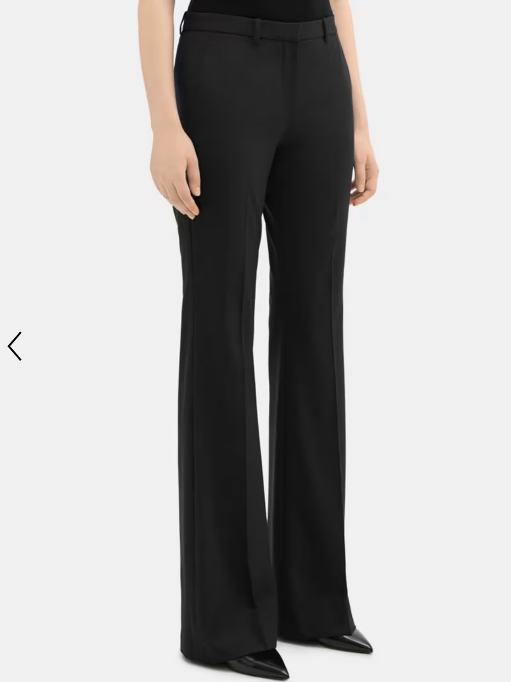 Theory Good Wool Pants